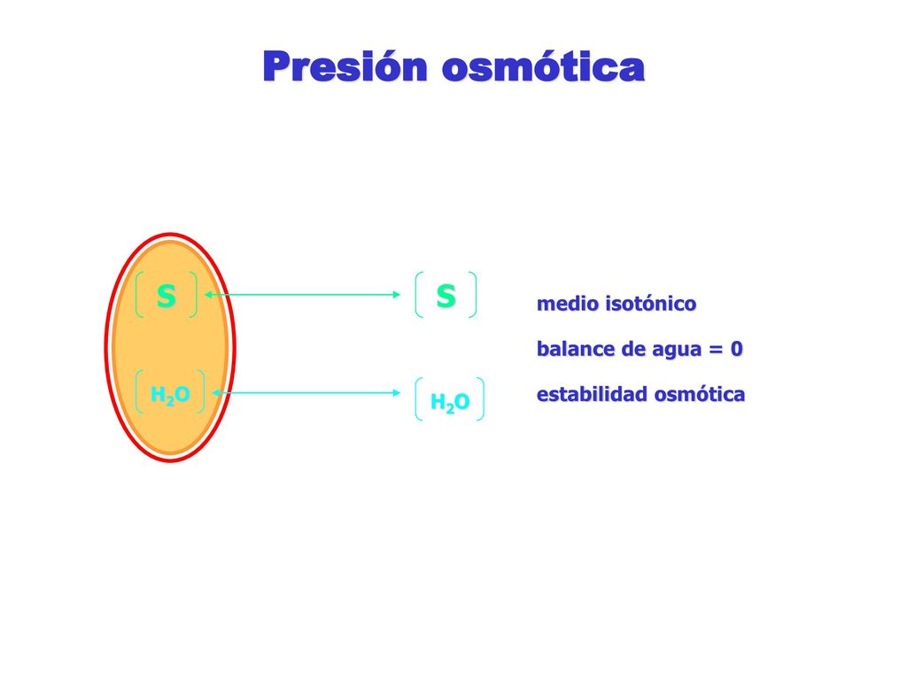Presión osmótica S medio isotónico balance de agua = 0