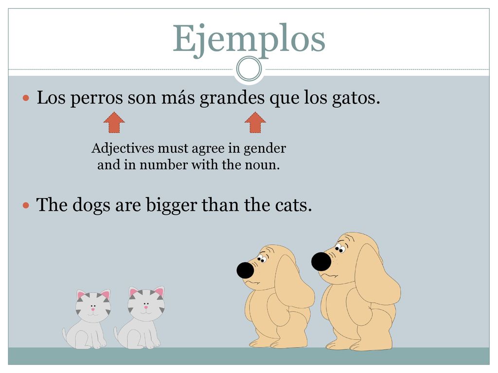 Adjectives must agree in gender and in number with the noun.