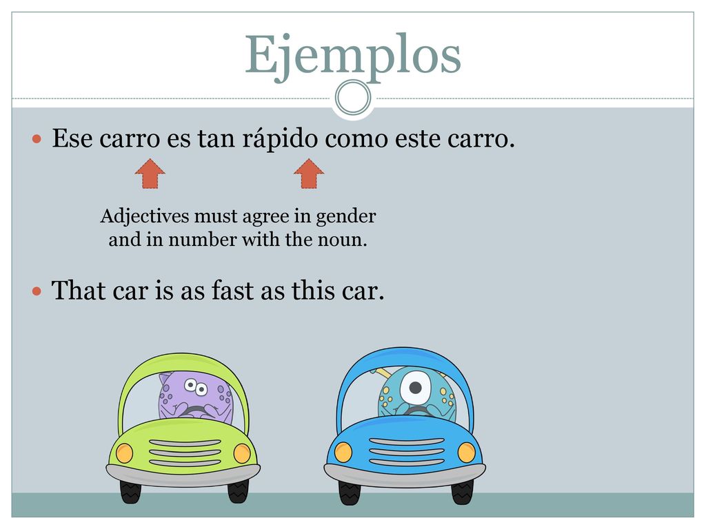 Adjectives must agree in gender and in number with the noun.