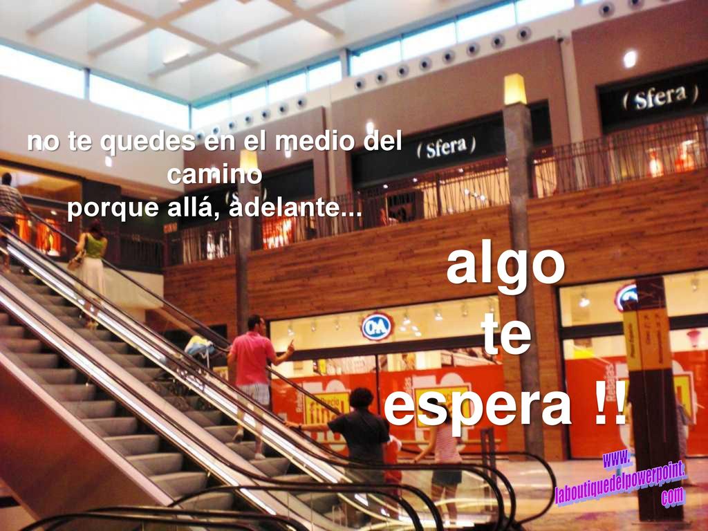 Debe de haber algo extrañamente sagrado en la sal: Está en nuestras lágrimas y en el mar…