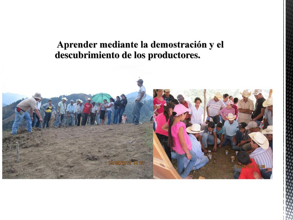 Aprender mediante la demostración y el descubrimiento de los productores.