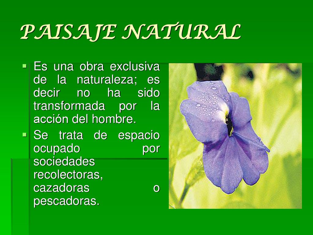 PAISAJE NATURAL Es una obra exclusiva de la naturaleza; es decir no ha sido transformada por la acción del hombre.