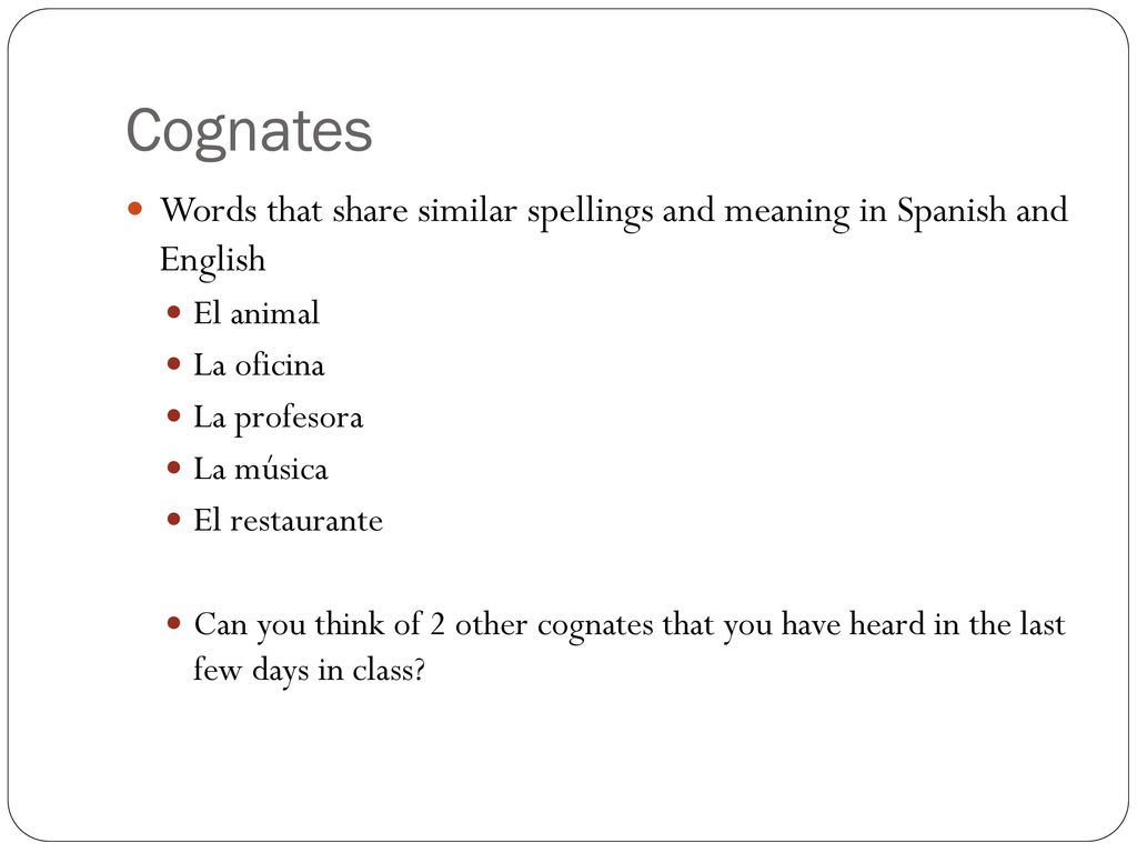 Cognates Words that share similar spellings and meaning in Spanish and English. El animal. La oficina.