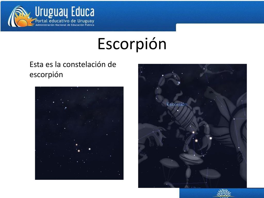 Escorpión Esta es la constelación de escorpión
