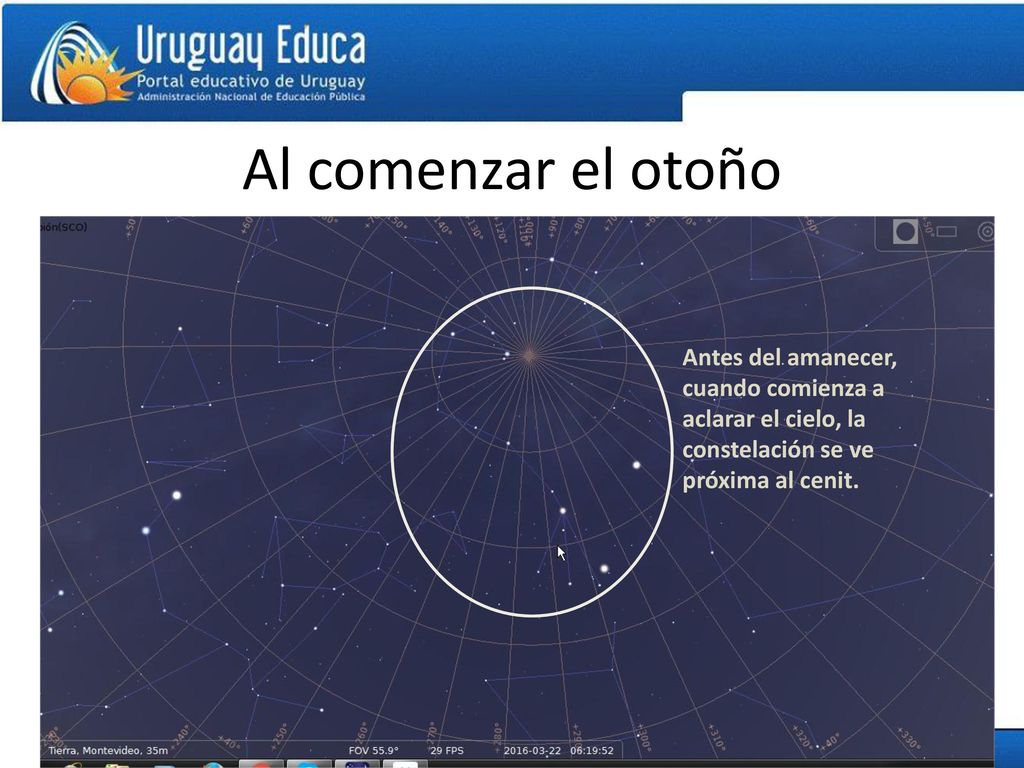 Al comenzar el otoño Antes del amanecer, cuando comienza a aclarar el cielo, la constelación se ve próxima al cenit.