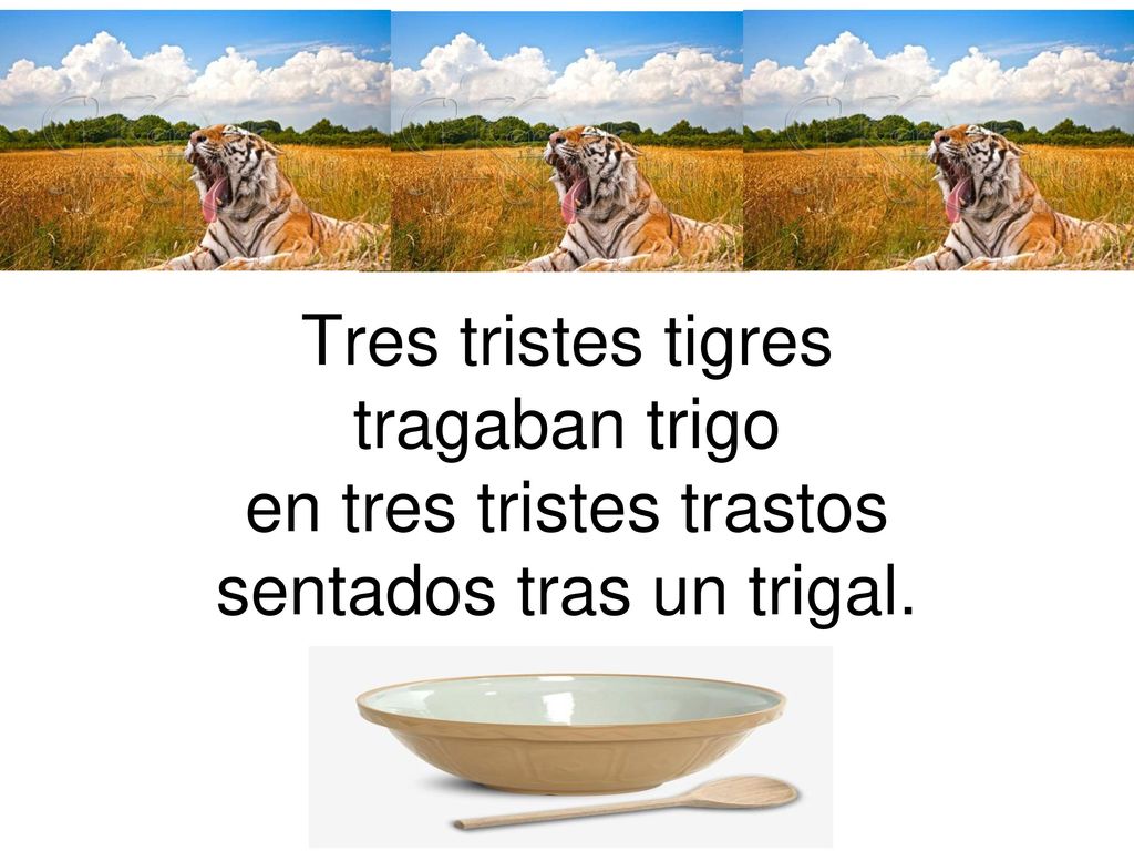 Tres tristes tigres tragaban trigo en tres tristes trastos sentados tras un trigal.