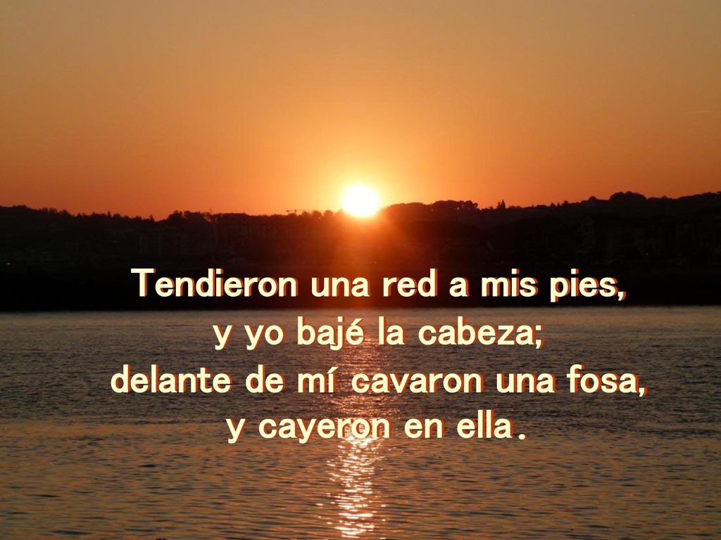 Tendieron una red a mis pies, delante de mí cavaron una fosa,