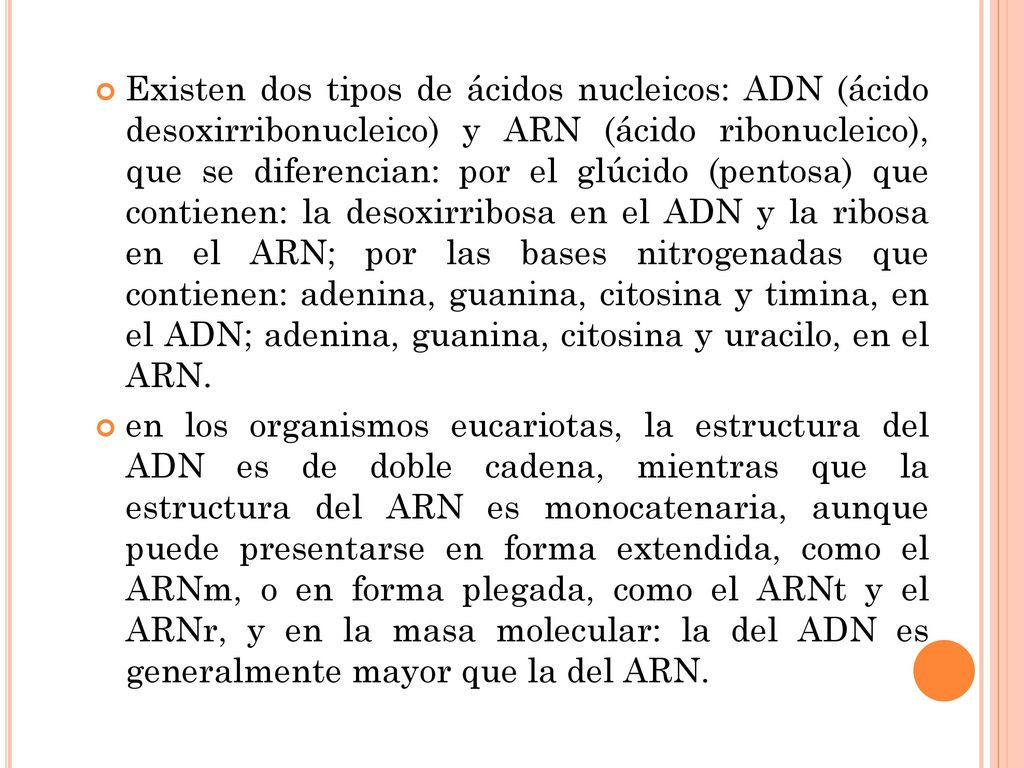 Existen dos tipos de ácidos nucleicos: ADN (ácido desoxirribonucleico) y ARN (ácido ribonucleico), que se diferencian: por el glúcido (pentosa) que contienen: la desoxirribosa en el ADN y la ribosa en el ARN; por las bases nitrogenadas que contienen: adenina, guanina, citosina y timina, en el ADN; adenina, guanina, citosina y uracilo, en el ARN.