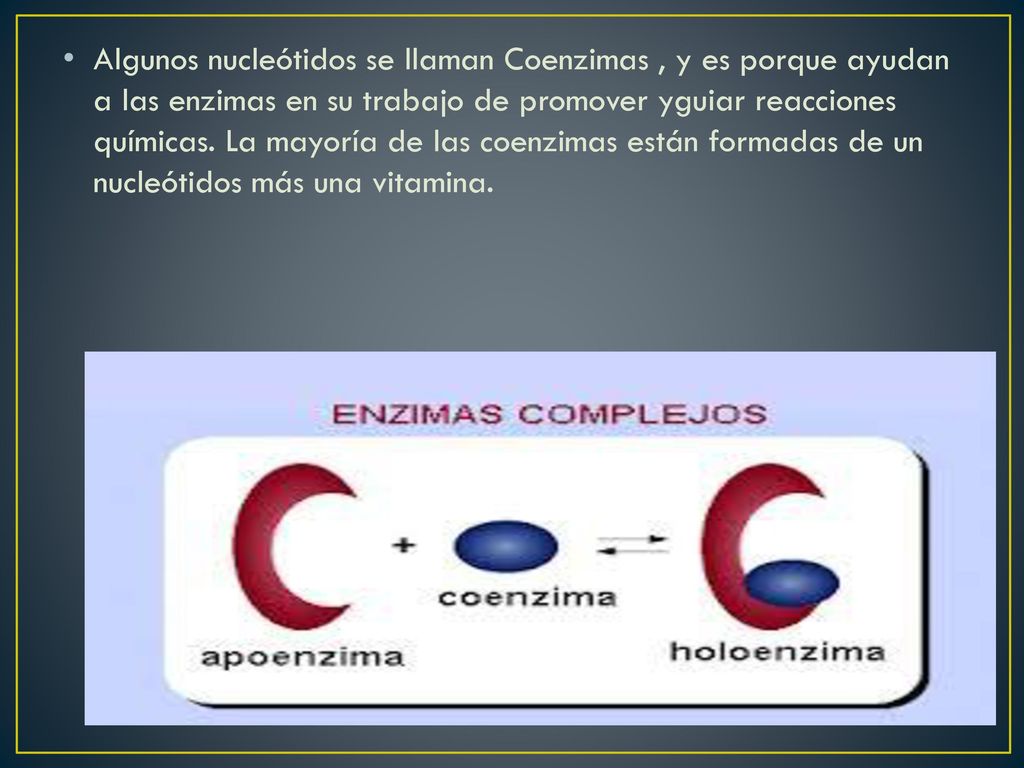Algunos nucleótidos se llaman Coenzimas , y es porque ayudan a las enzimas en su trabajo de promover yguiar reacciones químicas.
