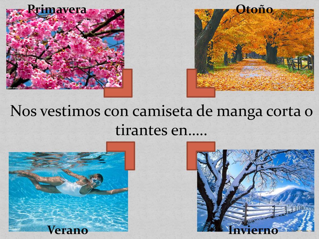 Nos vestimos con camiseta de manga corta o tirantes en…..