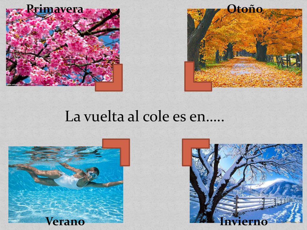 Primavera Otoño La vuelta al cole es en….. Verano Invierno