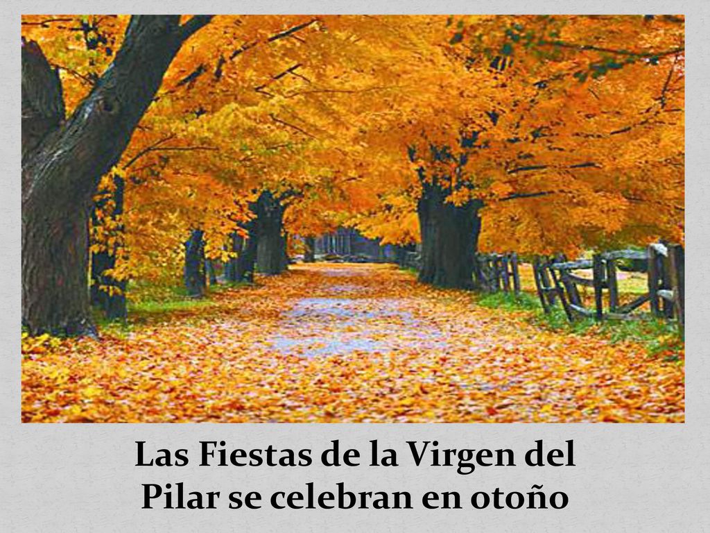 Las Fiestas de la Virgen del Pilar se celebran en otoño