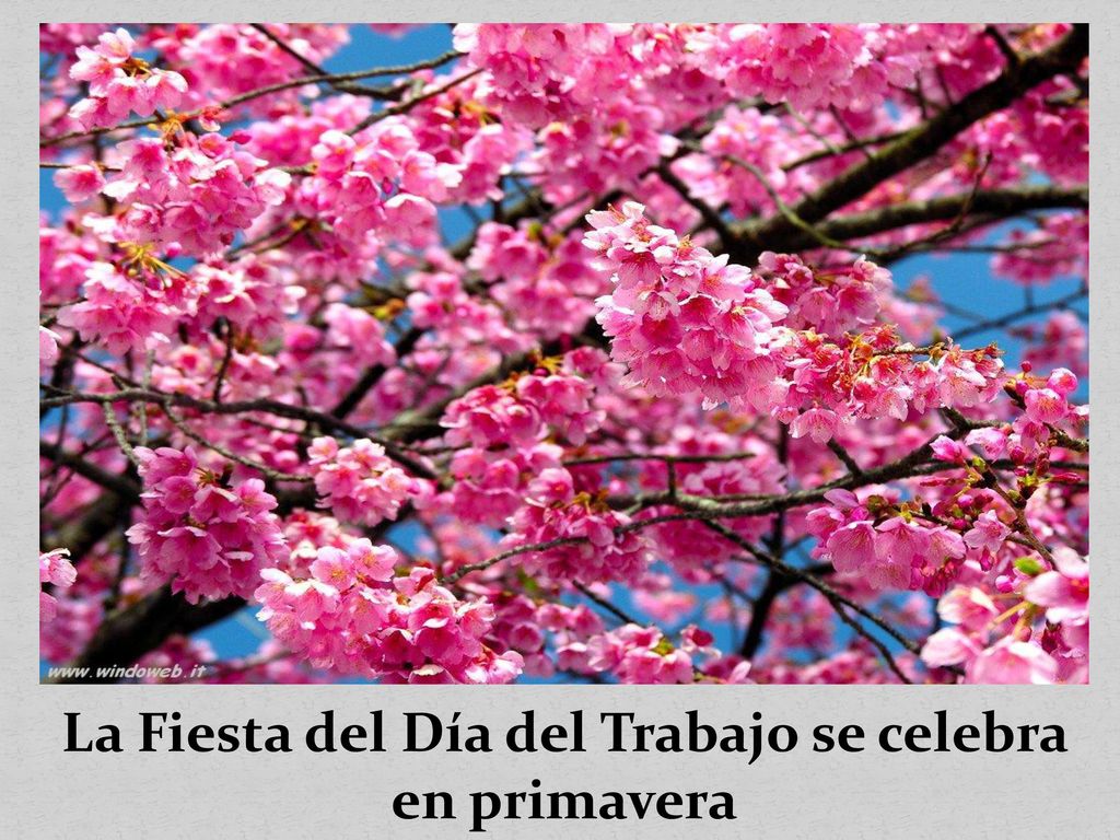 La Fiesta del Día del Trabajo se celebra en primavera