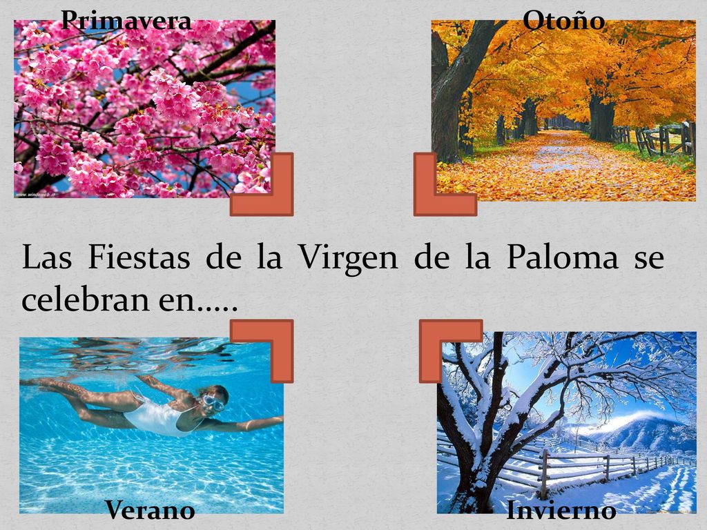 Las Fiestas de la Virgen de la Paloma se celebran en…..