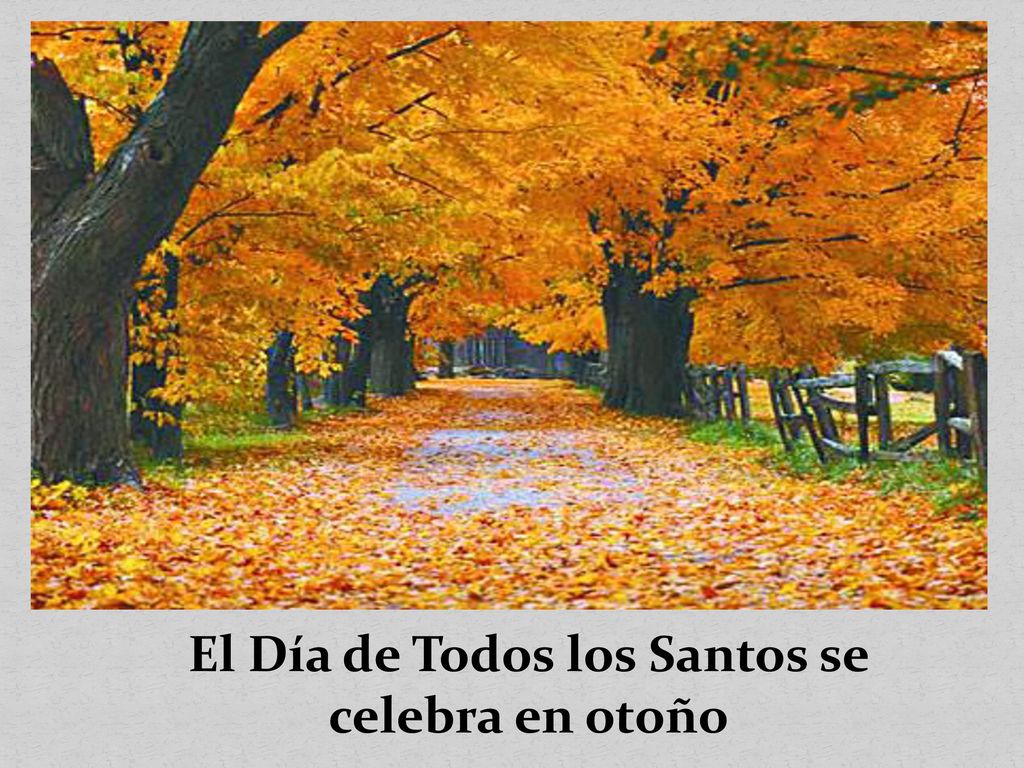 El Día de Todos los Santos se celebra en otoño