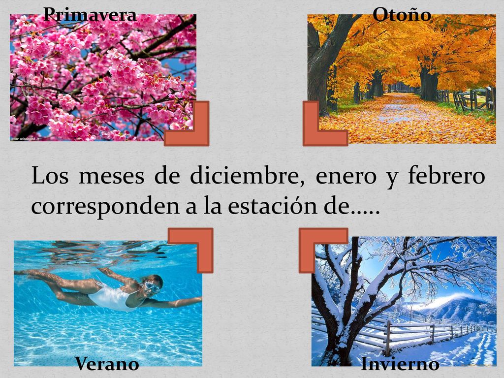 Primavera Otoño. Los meses de diciembre, enero y febrero corresponden a la estación de….. Verano.