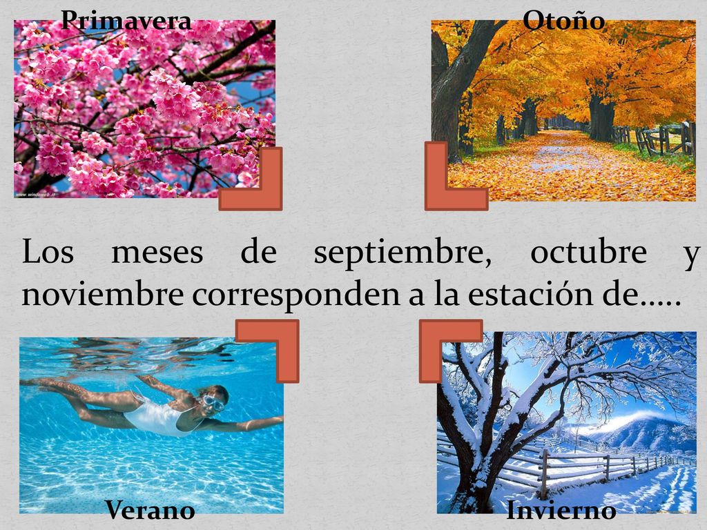 Primavera Otoño. Los meses de septiembre, octubre y noviembre corresponden a la estación de….. Verano.