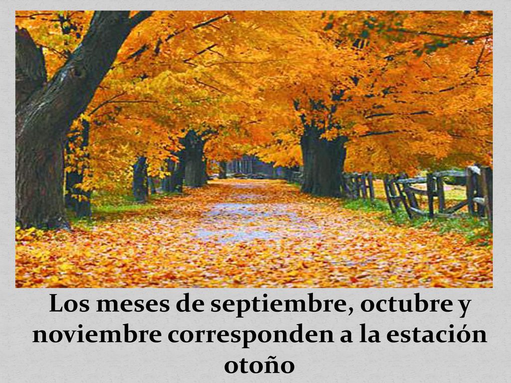 Los meses de septiembre, octubre y noviembre corresponden a la estación otoño