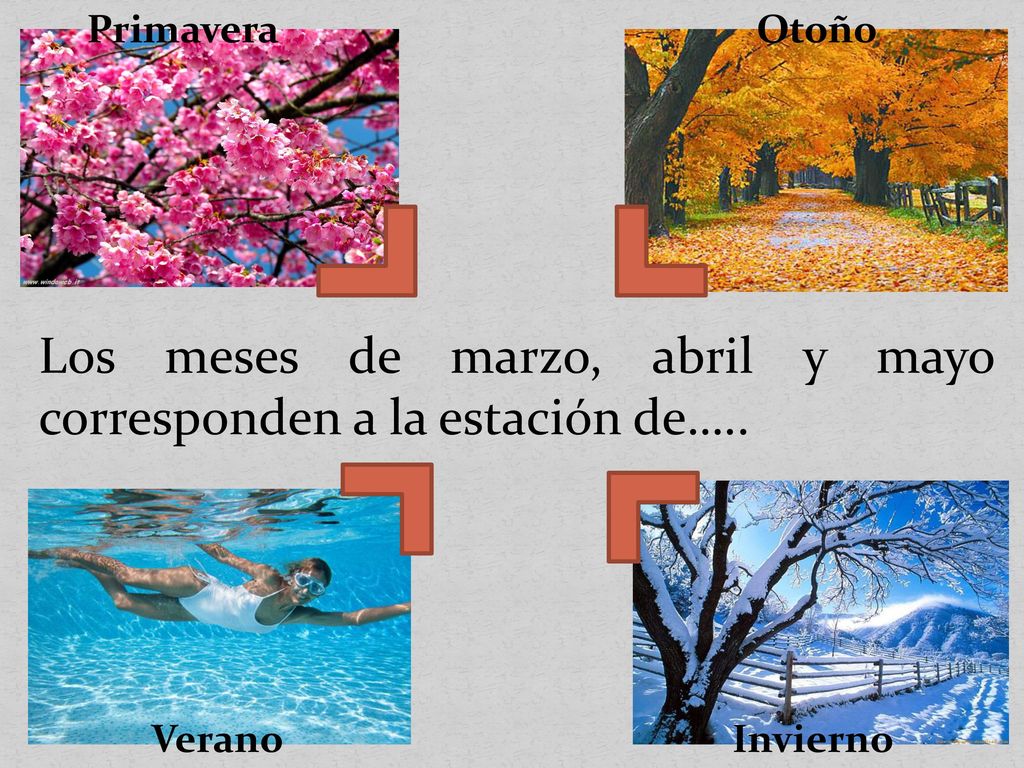 Los meses de marzo, abril y mayo corresponden a la estación de…..