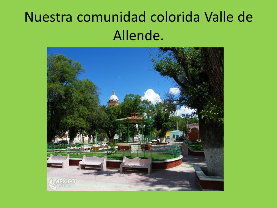 Nuestra comunidad colorida Valle de Allende.