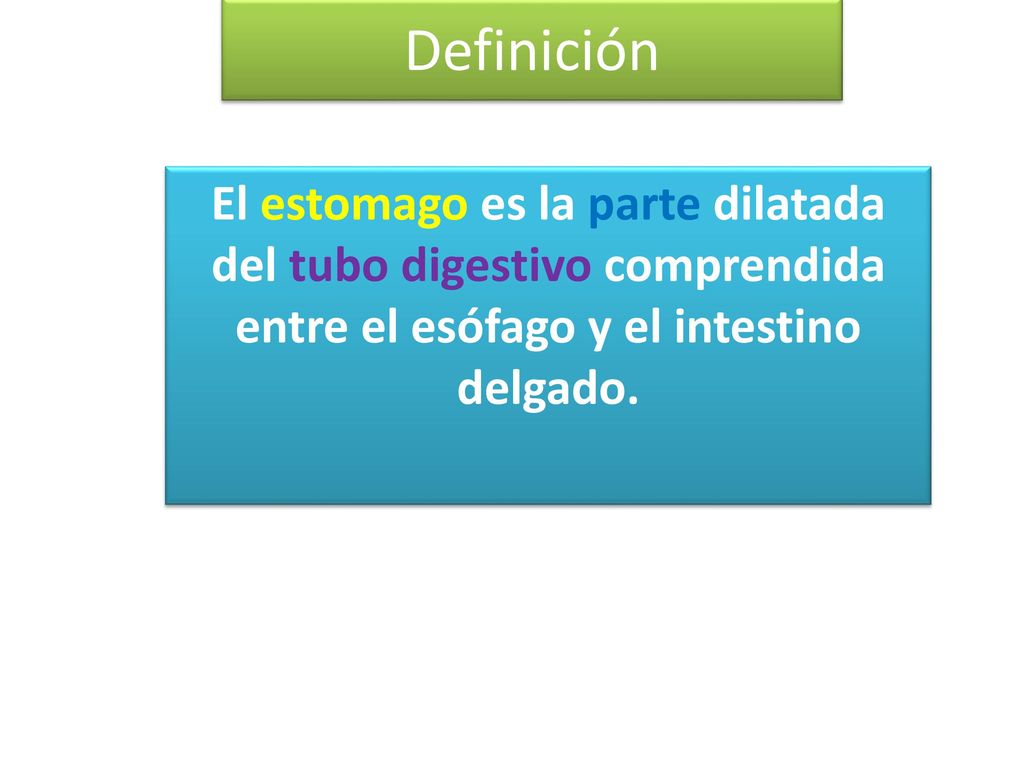 Definición El estomago es la parte dilatada del tubo digestivo comprendida entre el esófago y el intestino delgado.