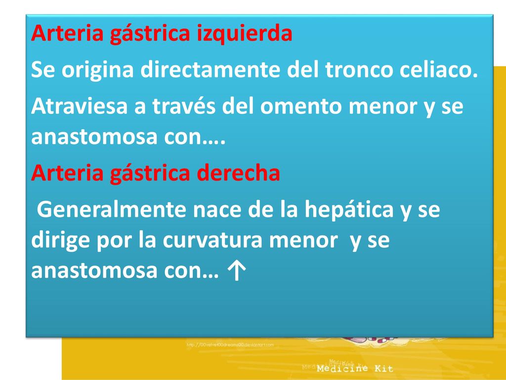 Arteria gástrica izquierda Se origina directamente del tronco celiaco