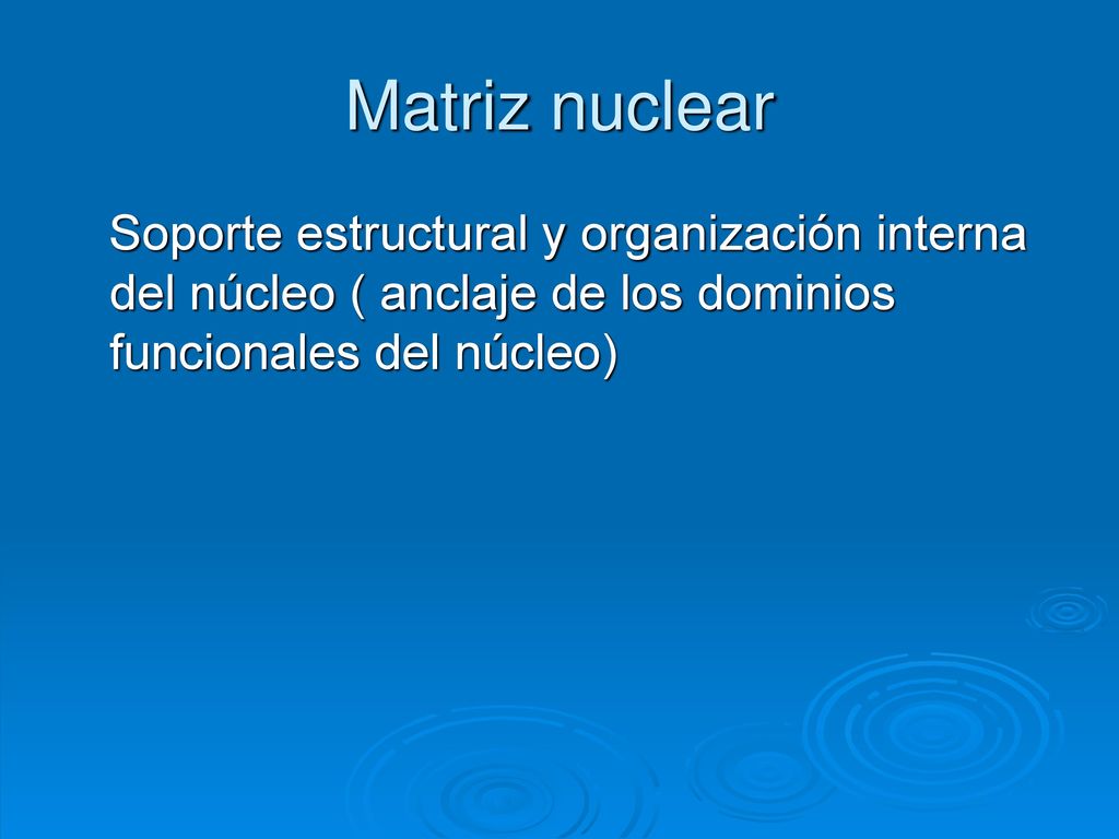 Matriz nuclear Soporte estructural y organización interna del núcleo ( anclaje de los dominios funcionales del núcleo)