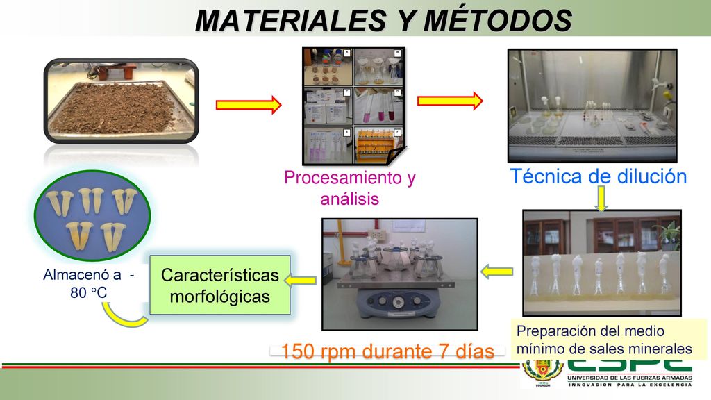MATERIALES Y MÉTODOS Técnica de dilución 150 rpm durante 7 días