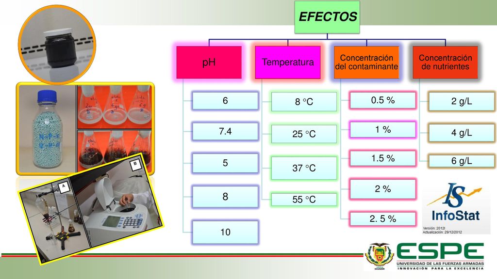 EFECTOS pH Temperatura 8 C 25 C 37 C 55 C 0.5 % 1 %