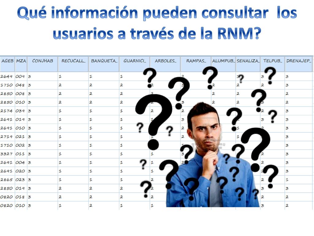 Qué información pueden consultar los usuarios a través de la RNM