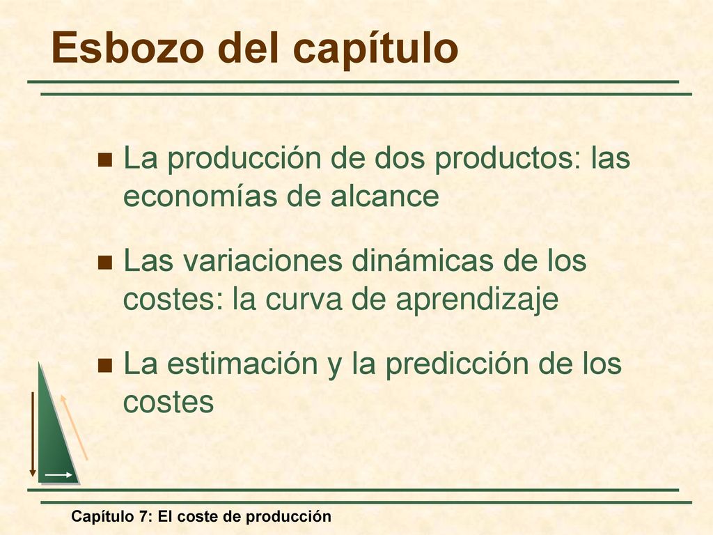 Esbozo del capítulo La producción de dos productos: las economías de alcance. Las variaciones dinámicas de los costes: la curva de aprendizaje.