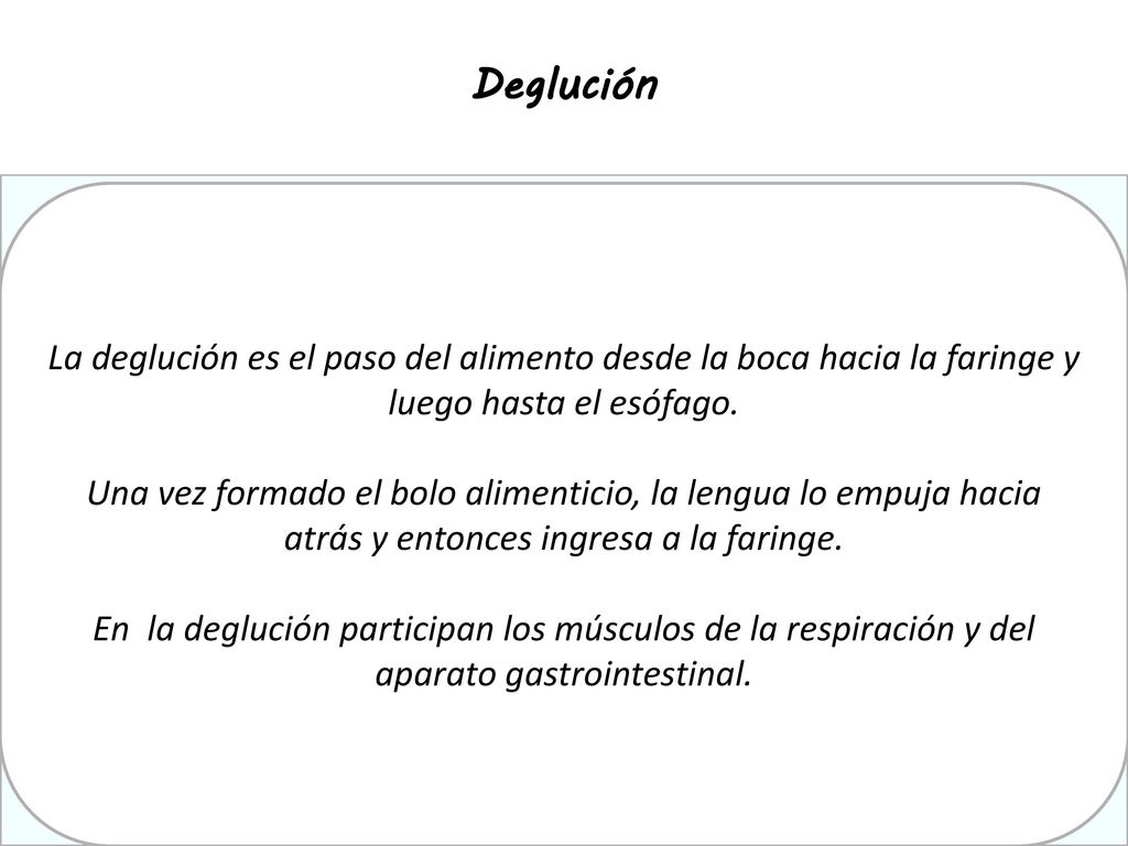 Deglución La deglución es el paso del alimento desde la boca hacia la faringe y luego hasta el esófago.