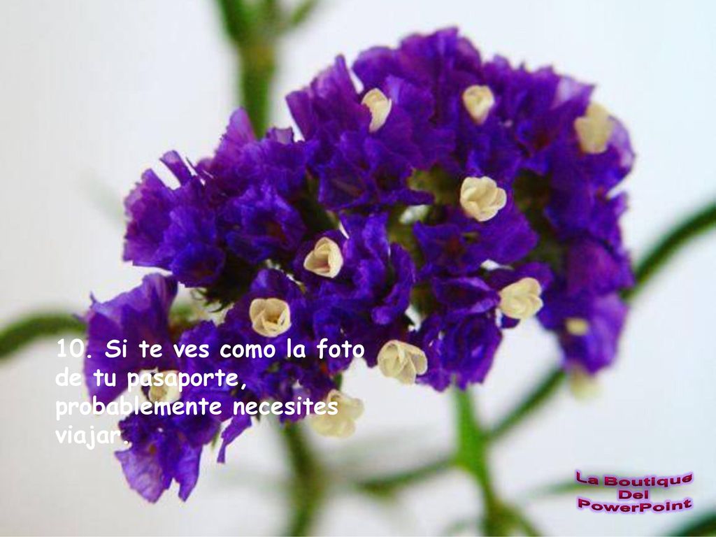 10. Si te ves como la foto de tu pasaporte, probablemente necesites viajar.