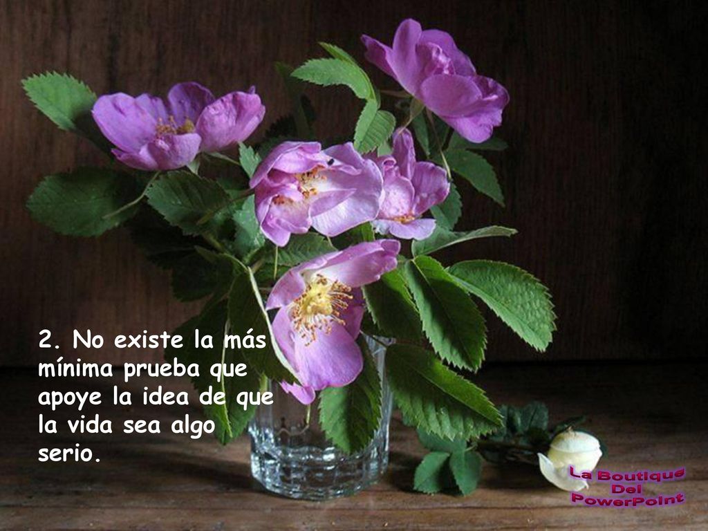 2. No existe la más mínima prueba que apoye la idea de que la vida sea algo serio.