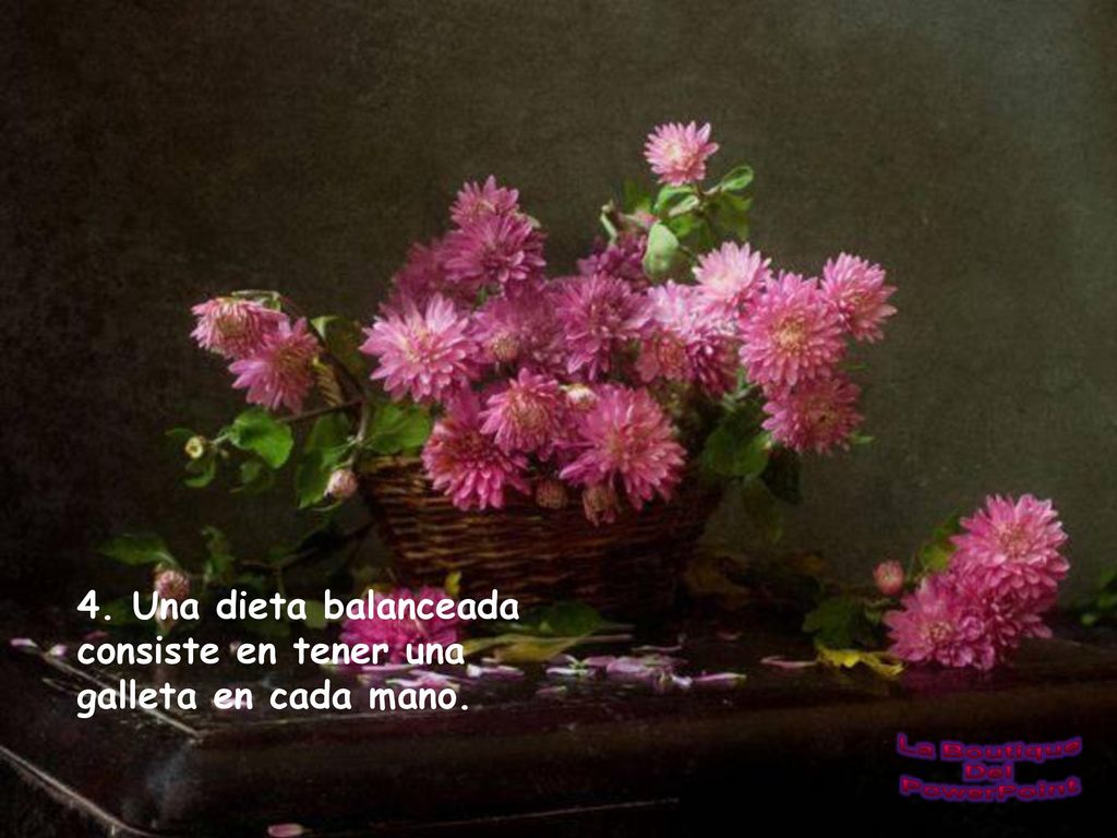 4. Una dieta balanceada consiste en tener una galleta en cada mano.