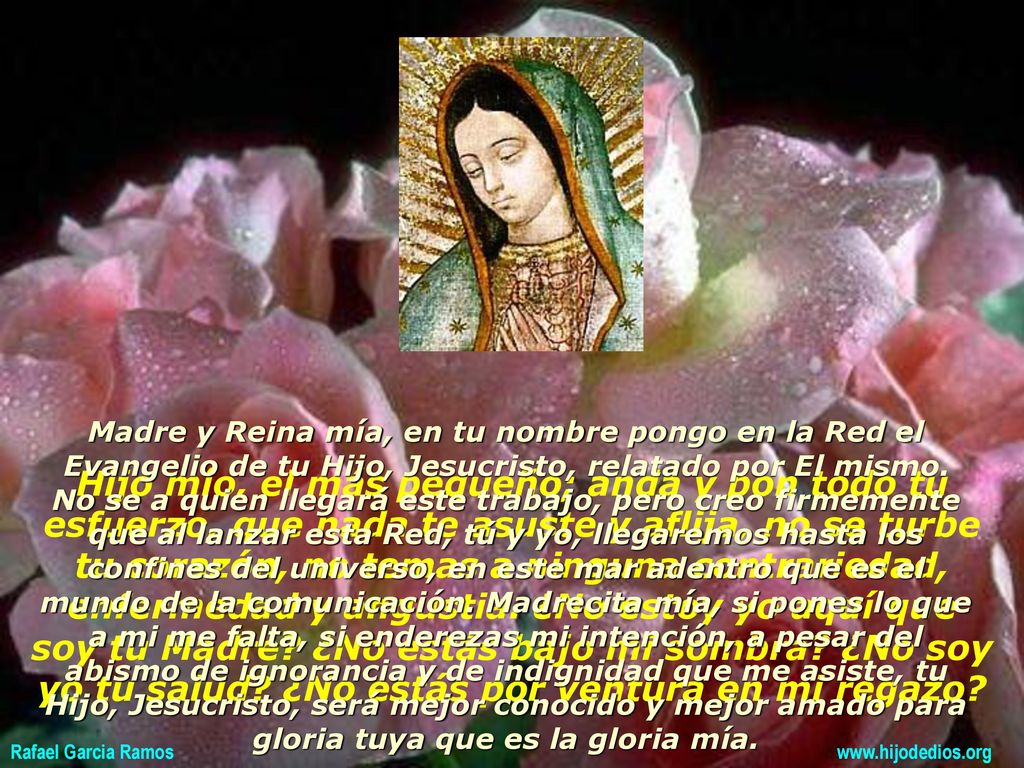 Madre y Reina mía, en tu nombre pongo en la Red el Evangelio de tu Hijo, Jesucristo, relatado por El mismo. No se a quien llegará este trabajo, pero creo firmemente que al lanzar esta Red, tú y yo, llegaremos hasta los confines del universo, en este mar adentro que es el mundo de la comunicación. Madrecita mía, si pones lo que a mi me falta, si enderezas mi intención, a pesar del abismo de ignorancia y de indignidad que me asiste, tu Hijo, Jesucristo, será mejor conocido y mejor amado para gloria tuya que es la gloria mía.