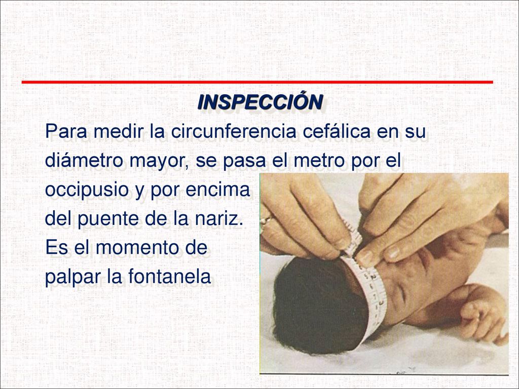 INSPECCIÓN Para medir la circunferencia cefálica en su. diámetro mayor, se pasa el metro por el. occipusio y por encima.