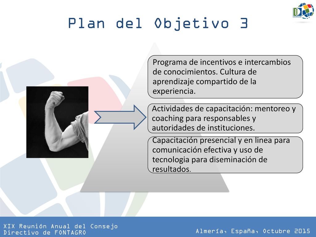 Plan del Objetivo 3 Programa de incentivos e intercambios de conocimientos. Cultura de aprendizaje compartido de la experiencia.