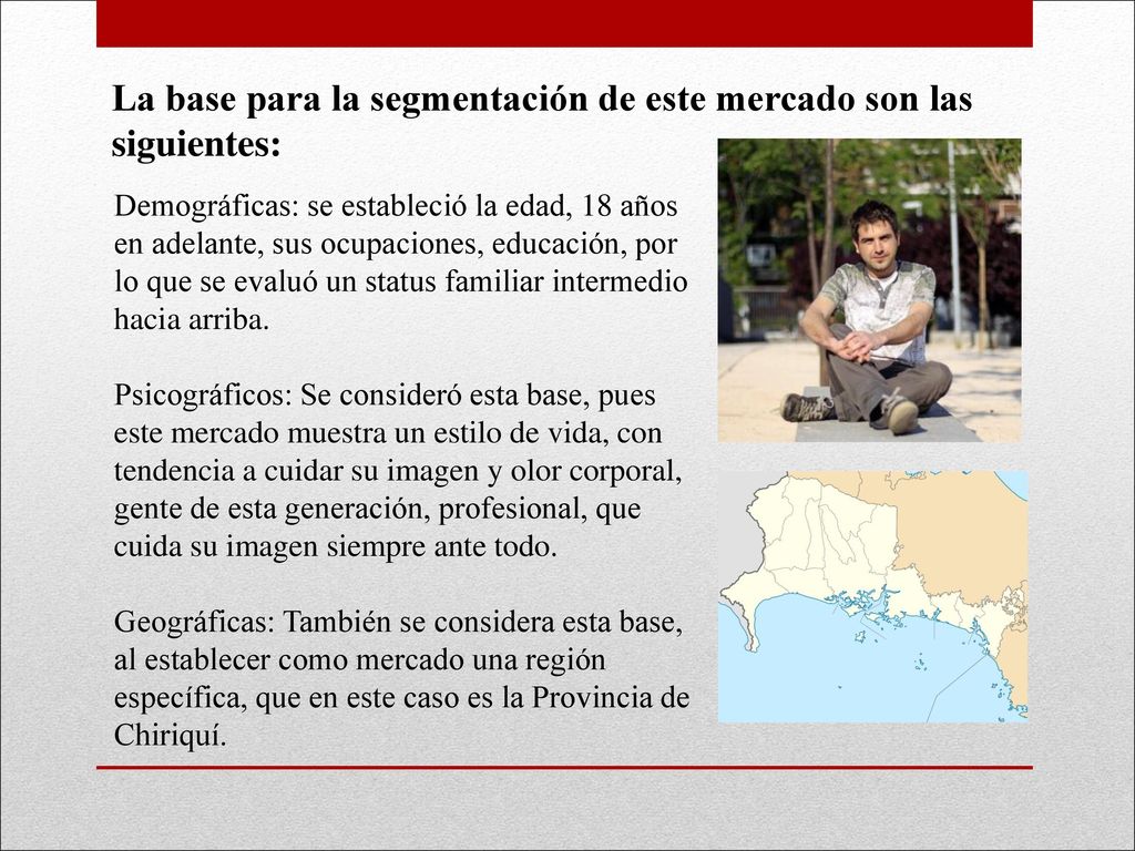 La base para la segmentación de este mercado son las siguientes:
