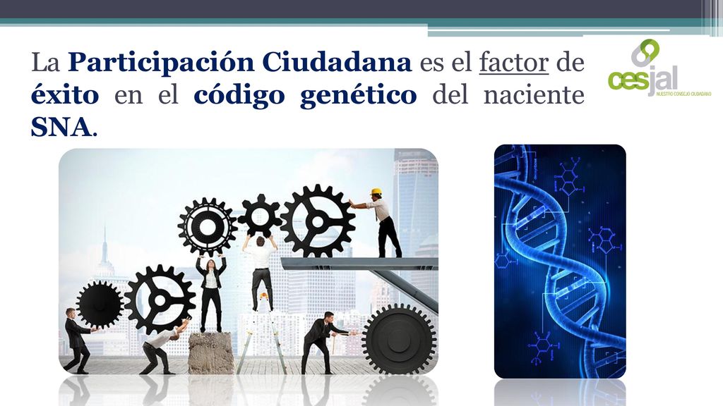 La Participación Ciudadana es el factor de éxito en el código genético del naciente SNA.