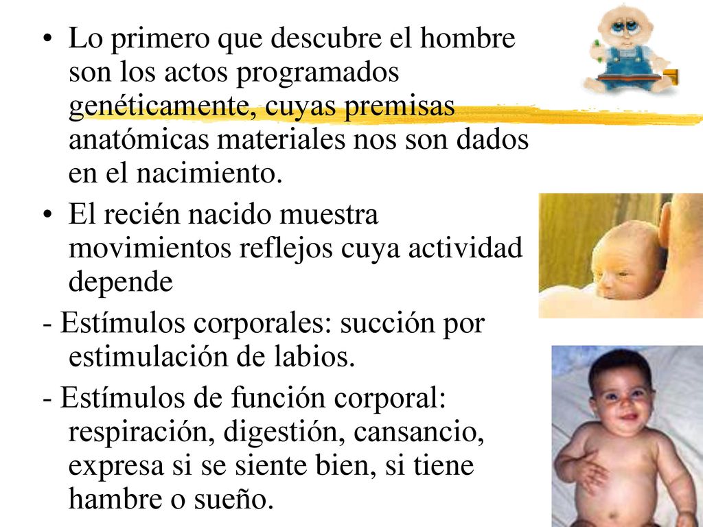 Lo primero que descubre el hombre son los actos programados genéticamente, cuyas premisas anatómicas materiales nos son dados en el nacimiento.