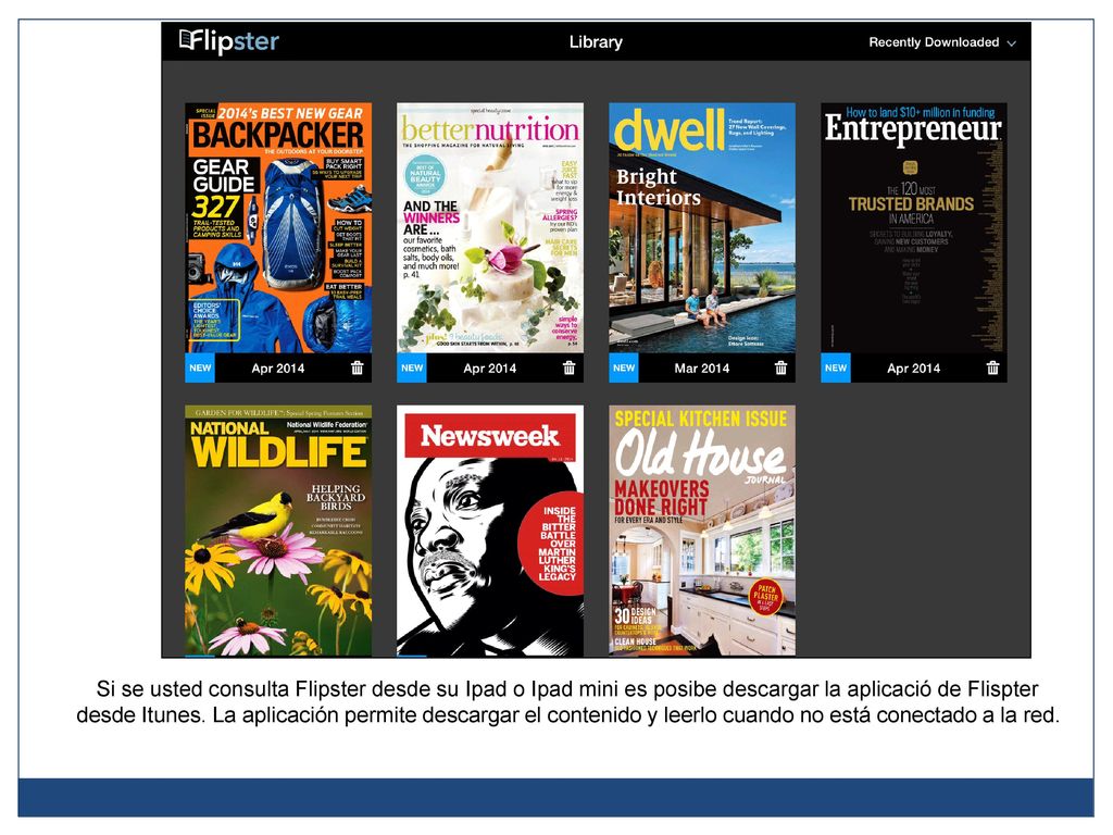 Si se usted consulta Flipster desde su Ipad o Ipad mini es posibe descargar la aplicació de Flispter desde Itunes.