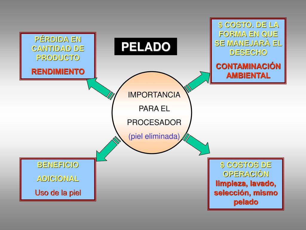 PELADO $ COSTO. DE LA FORMA EN QUE SE MANEJARÀ EL DESECHO
