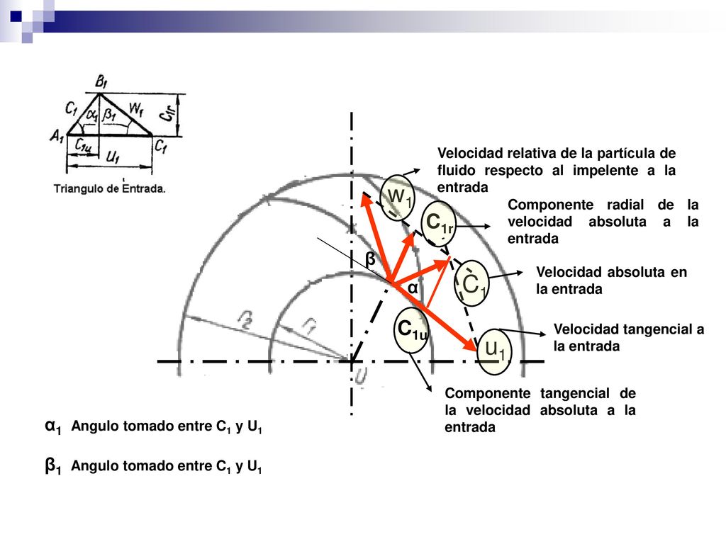 w1 C1 u1 C1r C1u β α α1 Angulo tomado entre C1 y U1