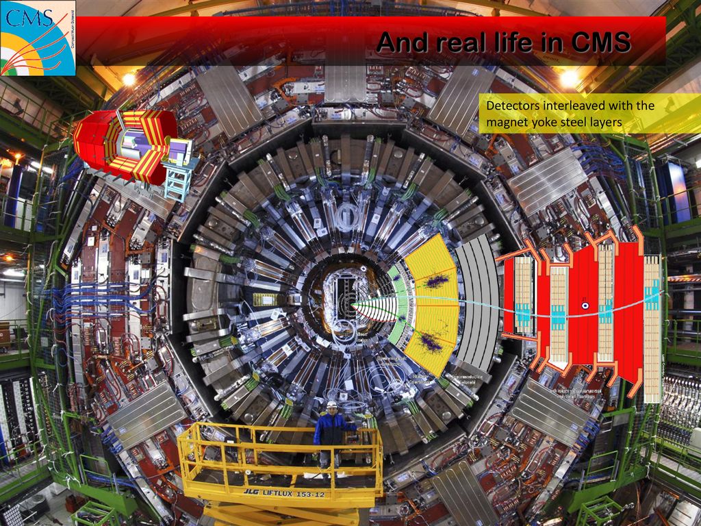 And real life in CMS Detectors interleaved with the magnet yoke steel layers.