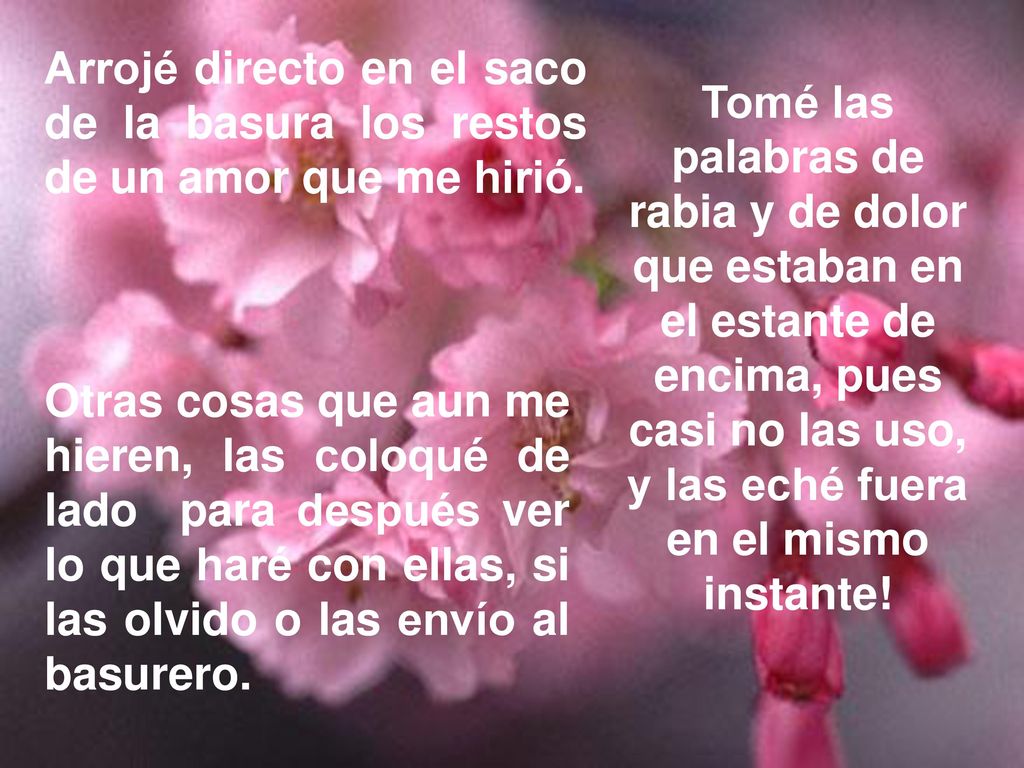 Arrojé directo en el saco de la basura los restos de un amor que me hirió.