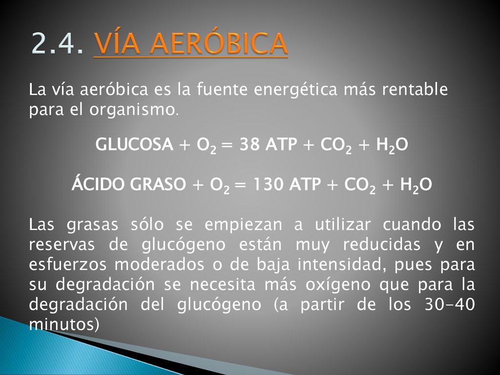 ÁCIDO GRASO + O2 = 130 ATP + CO2 + H2O