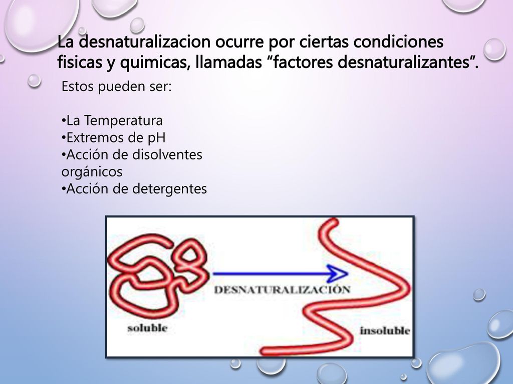 La desnaturalizacion ocurre por ciertas condiciones fisicas y quimicas, llamadas factores desnaturalizantes .