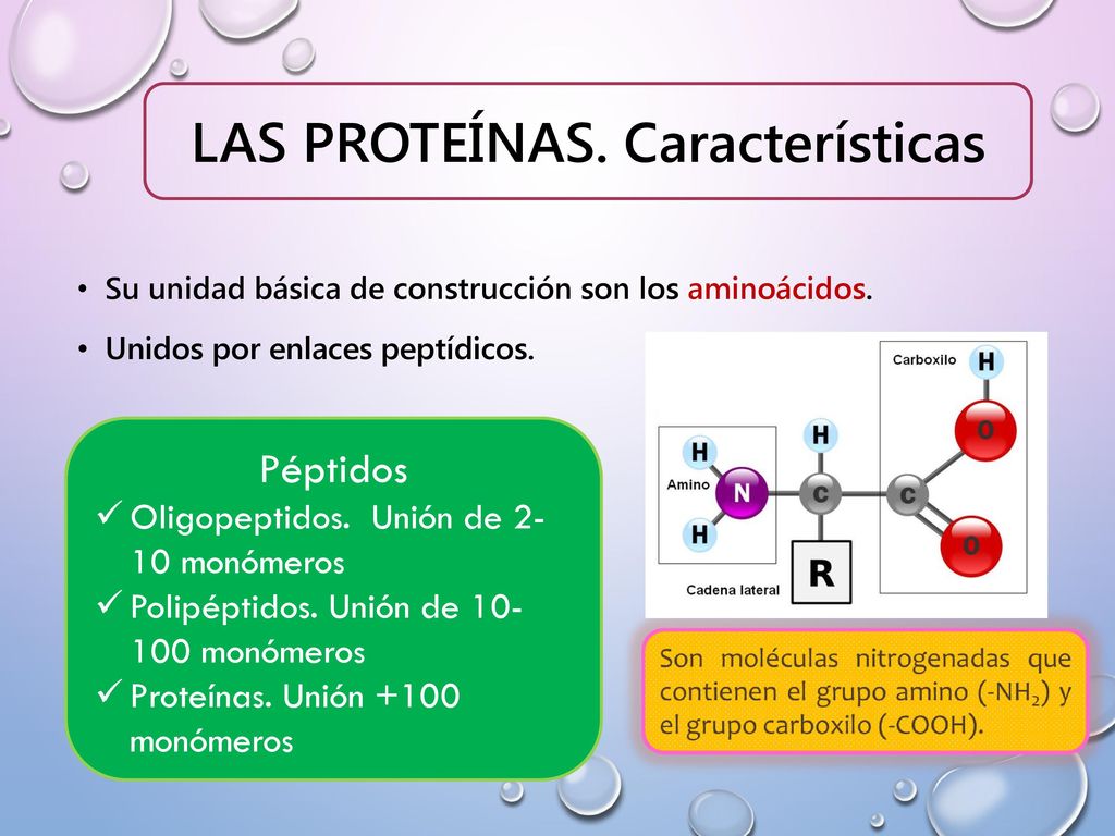 PRESENTADO POR: PÁMELA ANDREA FIERRO PEÑA EDNA LORENA VARGAS BARREIRO - ppt  descargar