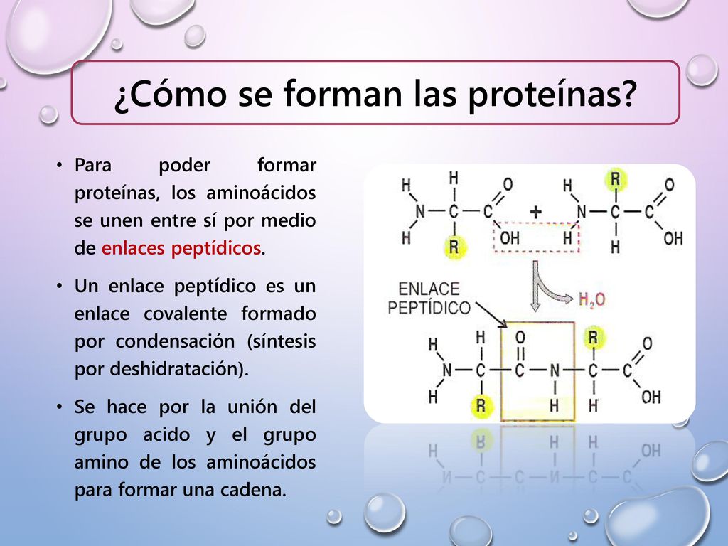 PRESENTADO POR: PÁMELA ANDREA FIERRO PEÑA EDNA LORENA VARGAS BARREIRO - ppt  descargar